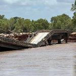 Charbray weaner steers make $1440, heifers $1240 at Woodford | Queensland Country Life