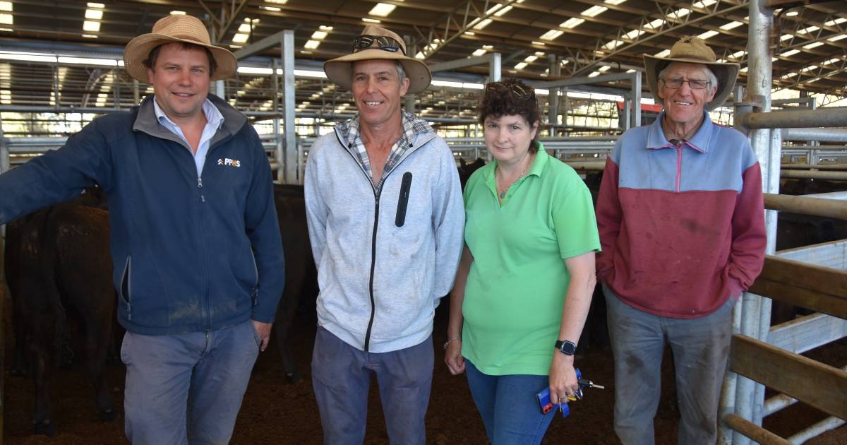 Heifer weaners outprice steers in new year sale at Naracoorte