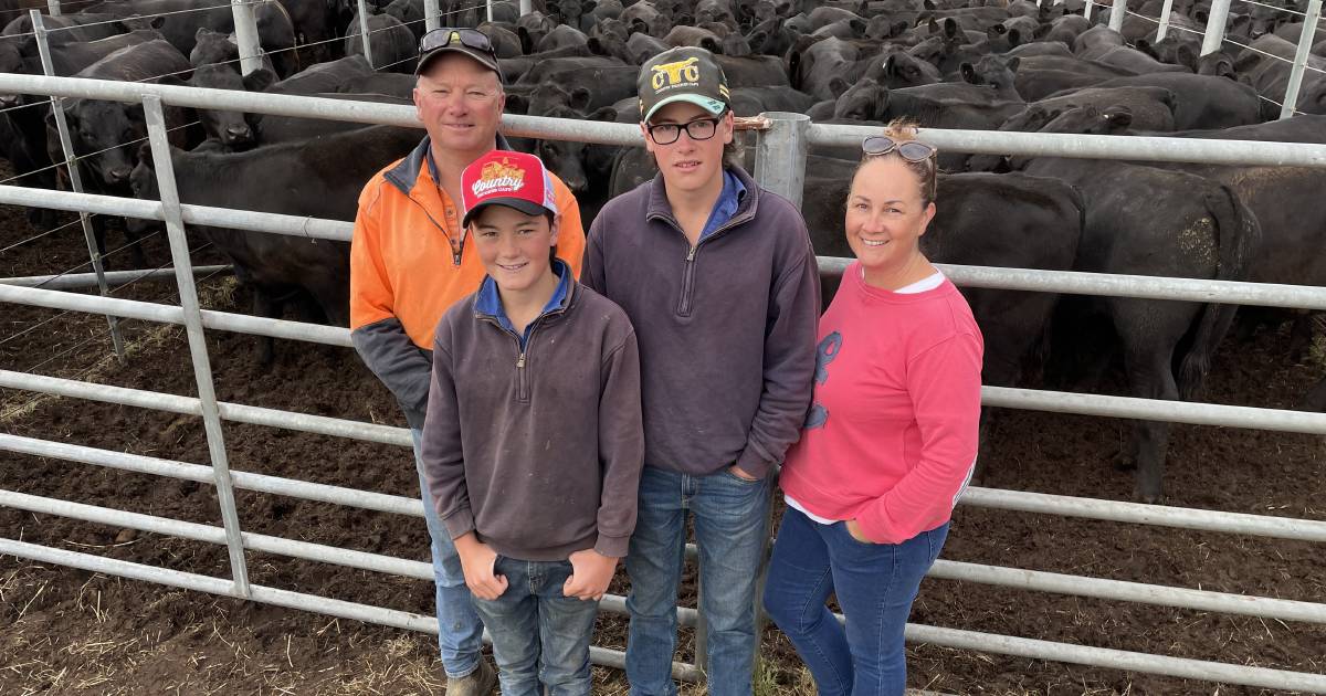 Casterton Angus weaner steers knocked down to out-of-state buyers