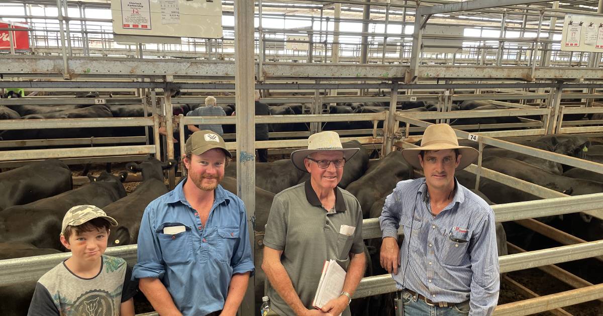 Breeders at NVLX Wodonga sold to $4160