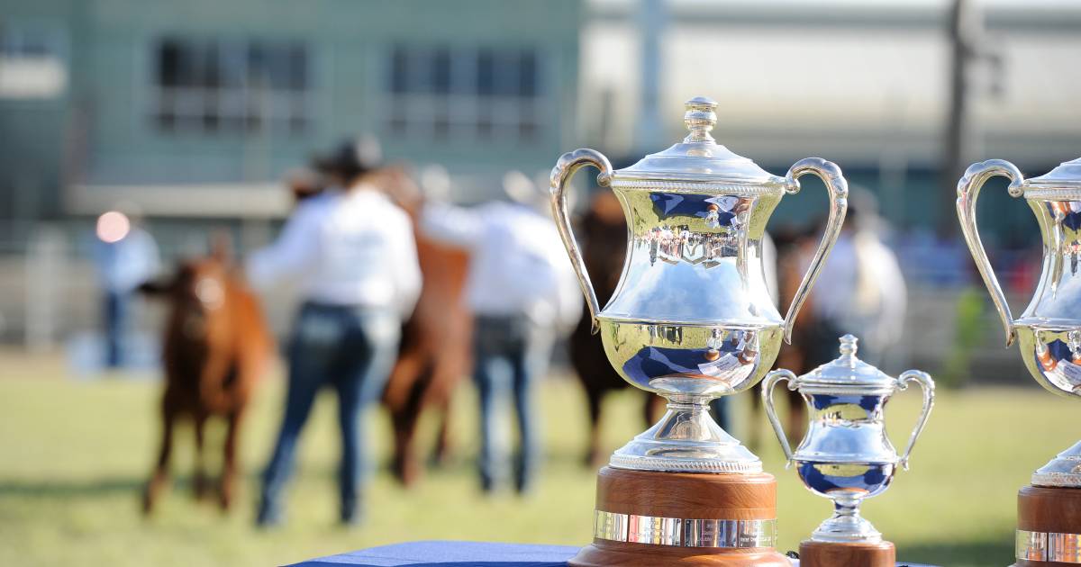 Beef Australia announces new stud cattle championship committee ahead of 2024 event | Queensland Country Life