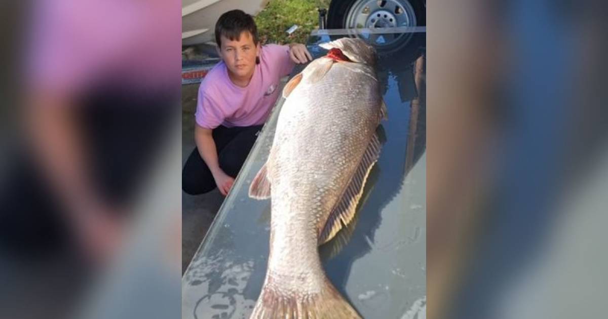 'I was holding on to my rod for dear life': Young angler's mighty mulloway catch