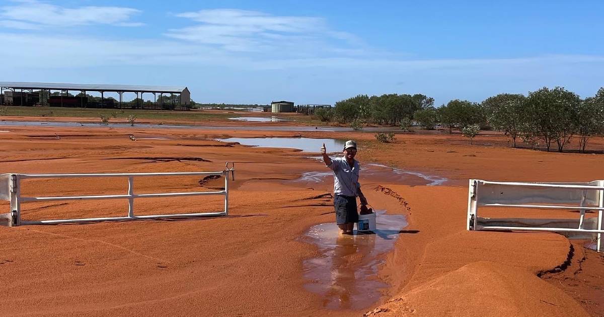 Devastation as stock losses, flood impact sets in for producers