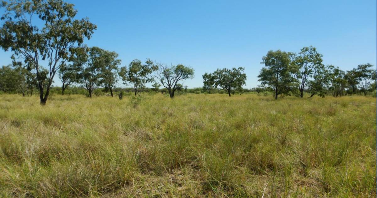 Quality farming and grazing on offer