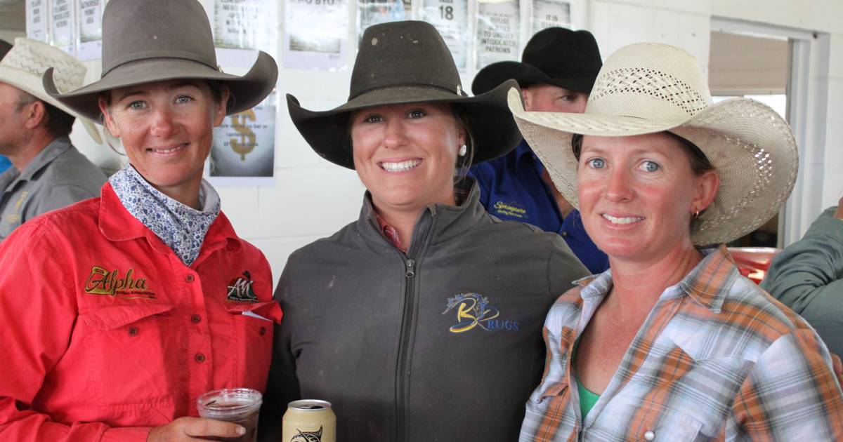 Springsure Working Horse Association clinics attract massive crowd despite rain | Queensland Country Life