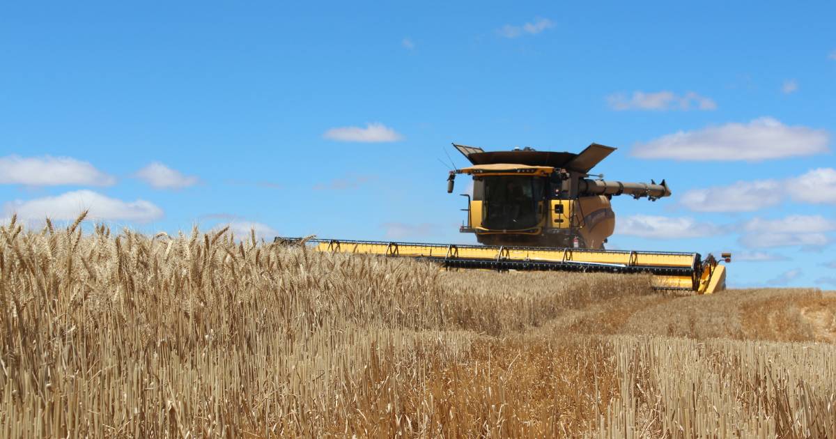 Australian grain in demand