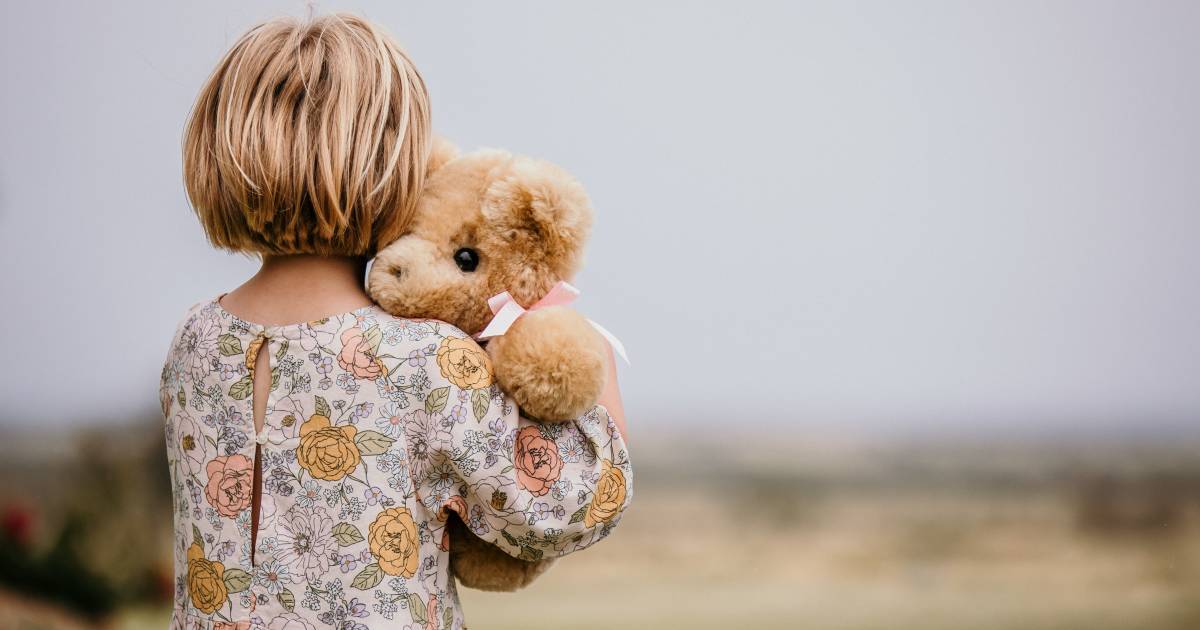 New bears ready for Tambo Teddies' 30th birthday