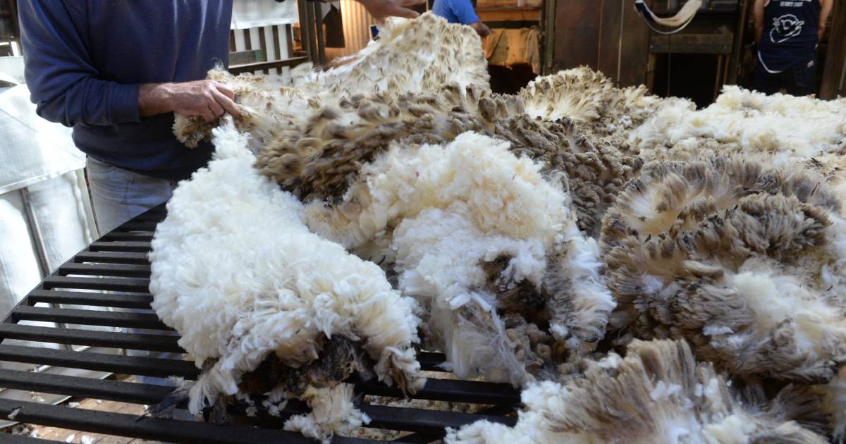 Wool traceability and disease defence concerns unite wool industry groups | The Land