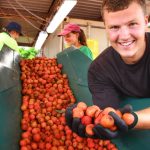 Beef tops the charts for unpaid family workers