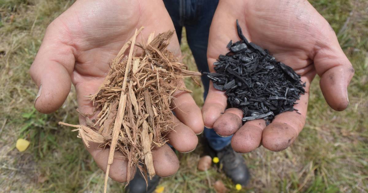 New look at biochar in 2023 carbon market | The Land