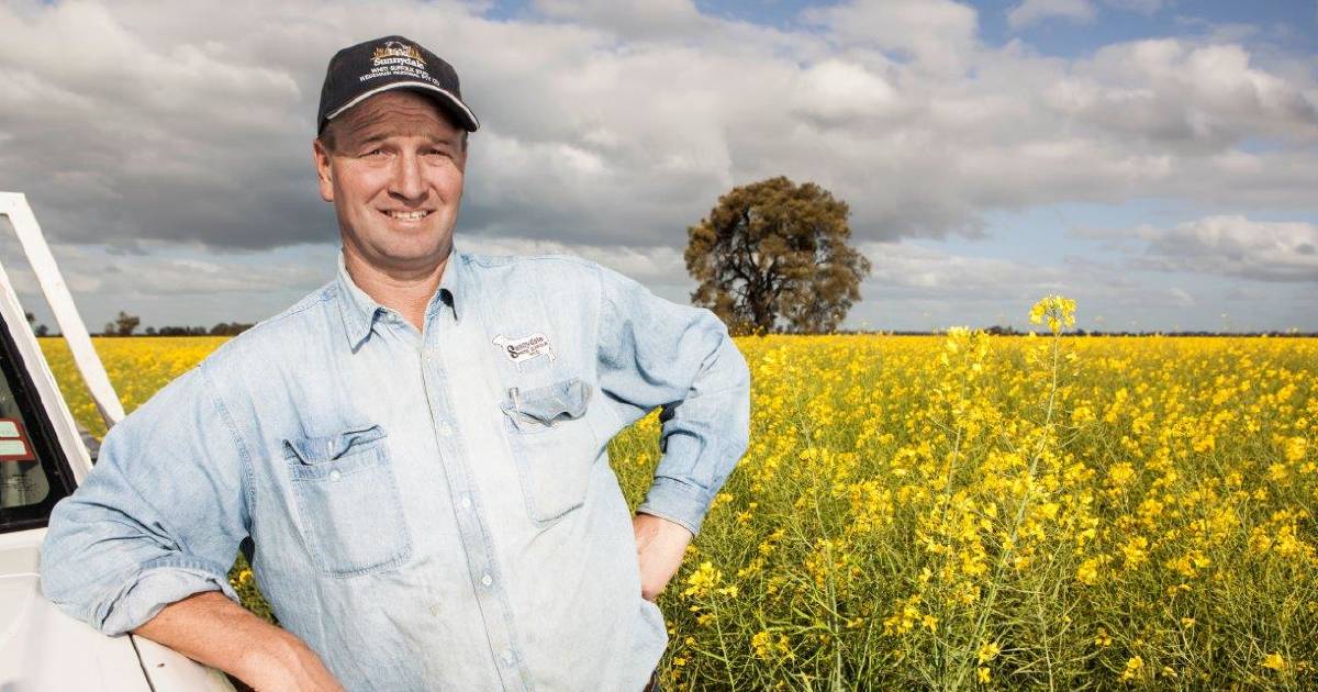 Grain Producers Australia keeps an eye on US hybrid wheat | Farm Weekly