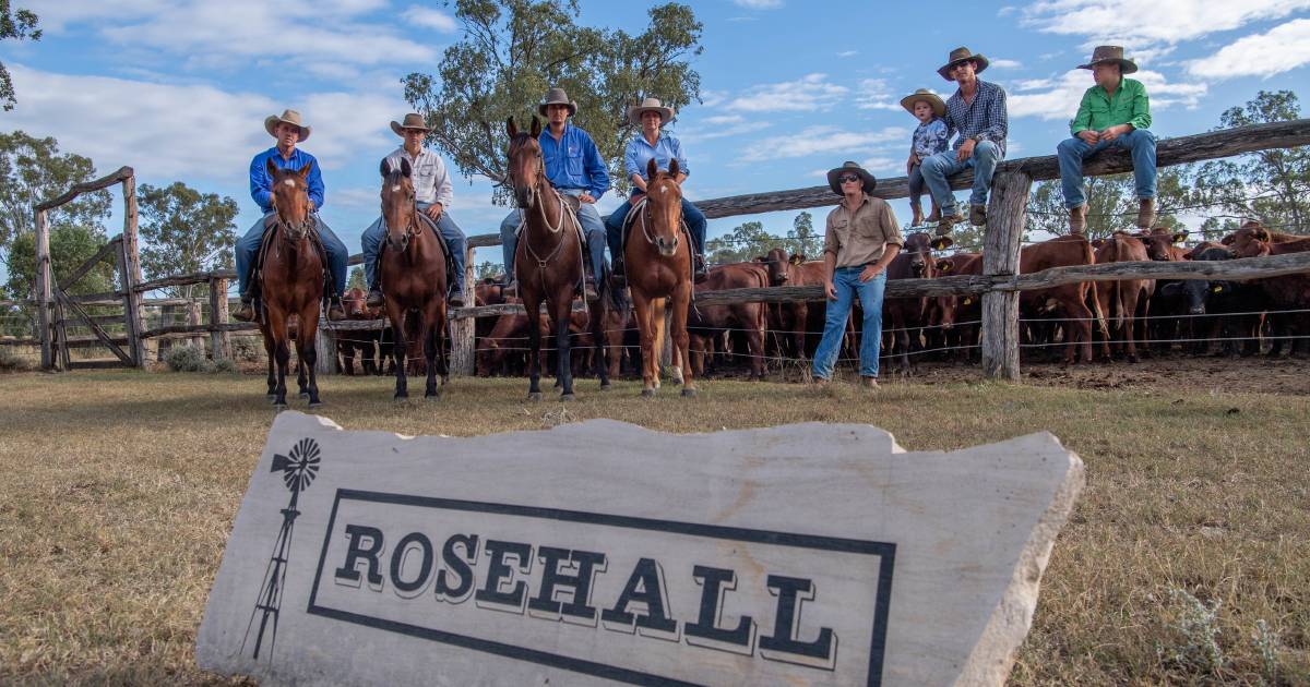 Team work makes the dream work at Knudsen Cattle