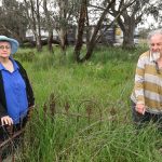 Clients keep Jason Southwell up with the latest in sheep breeding | The Land