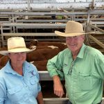 Managing pasture dieback at Hillyvale, Arcadia Valley