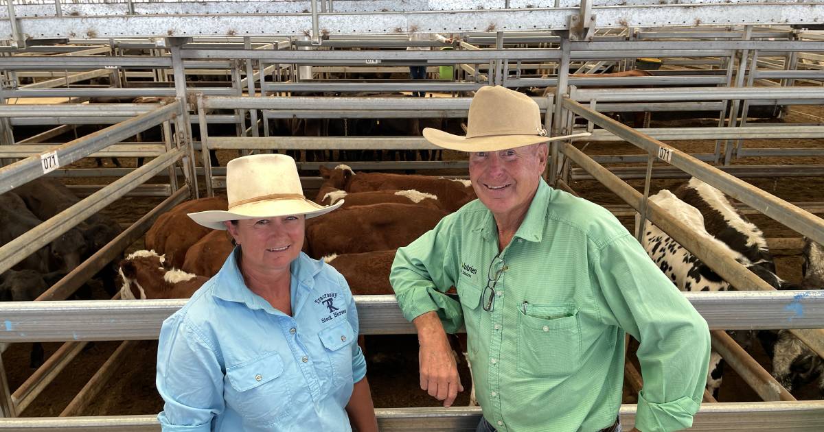 Numbers and prices ease at Tamworth store sale