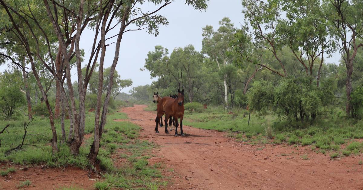 North west cops a drenching as monsoon lingers across the north