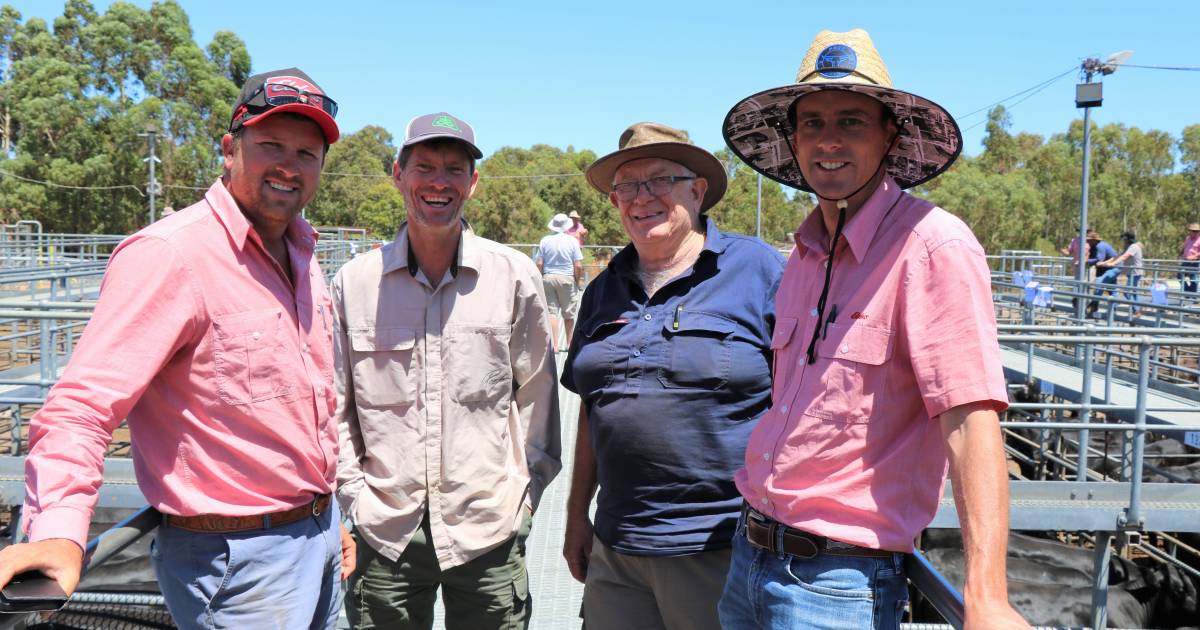 Angus-Friesian heifers top at $2320 at Boyanup | Farm Weekly