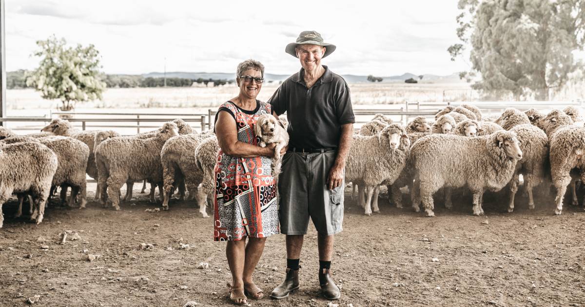 Melrose Pastoral takes top spot in Mid Lachlan Flock Ewe Competition | The Land