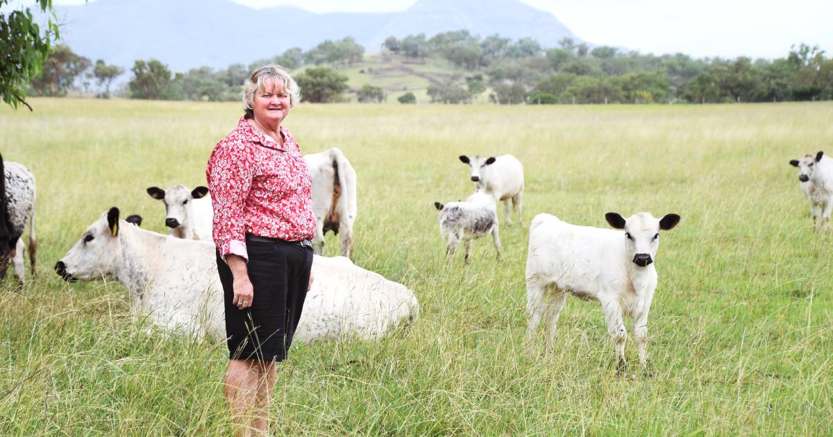 School principal finds grazing over 50