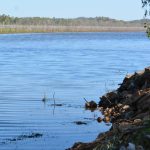 Rain totals for a wet year in Queensland | The North West Star