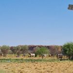 Encourage young Australians into ag with inspiring career stories