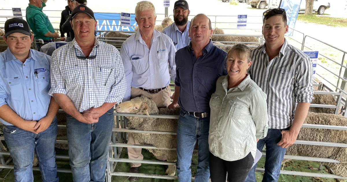 Airlie sale leads off New England ram sales