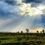 Mission to find tiny hidden cemetery's missing history