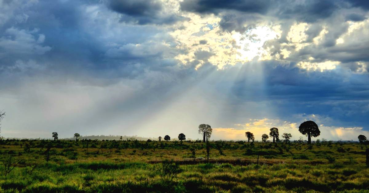 Talk of the Town: Imagining the world in 50 years time | North Queensland Register