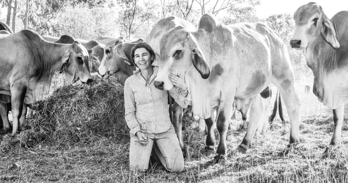 O’Brien and Lanzarin families on pioneering rotational grazing in the NT | Queensland Country Life