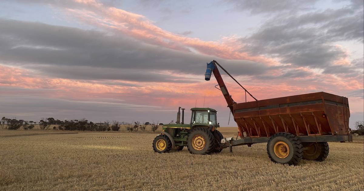 O’Neill family, Ongerup, still wrapping up harvest | Farm Weekly