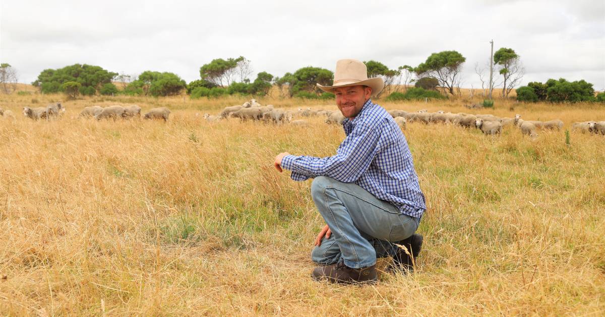 King Island gamble pays off for Blackall mustering contractor