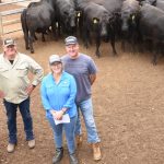 Quirindi Silo Art official opening shows light display on silos | The Land