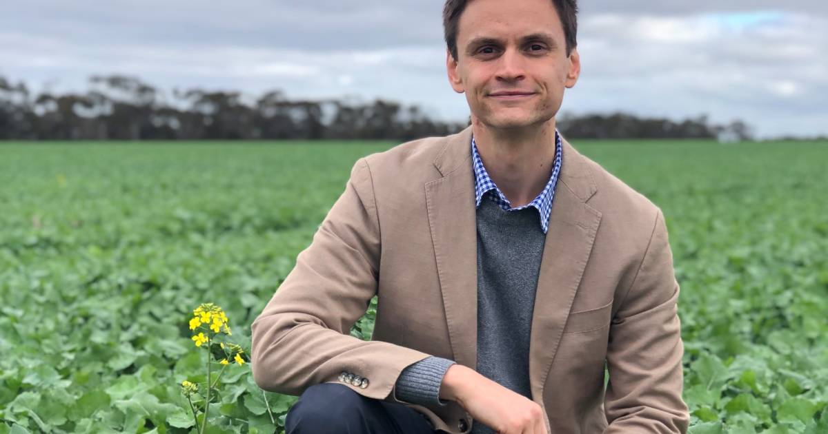 German biodiesel changes not a cause for concern for Australian canola growers | The Land