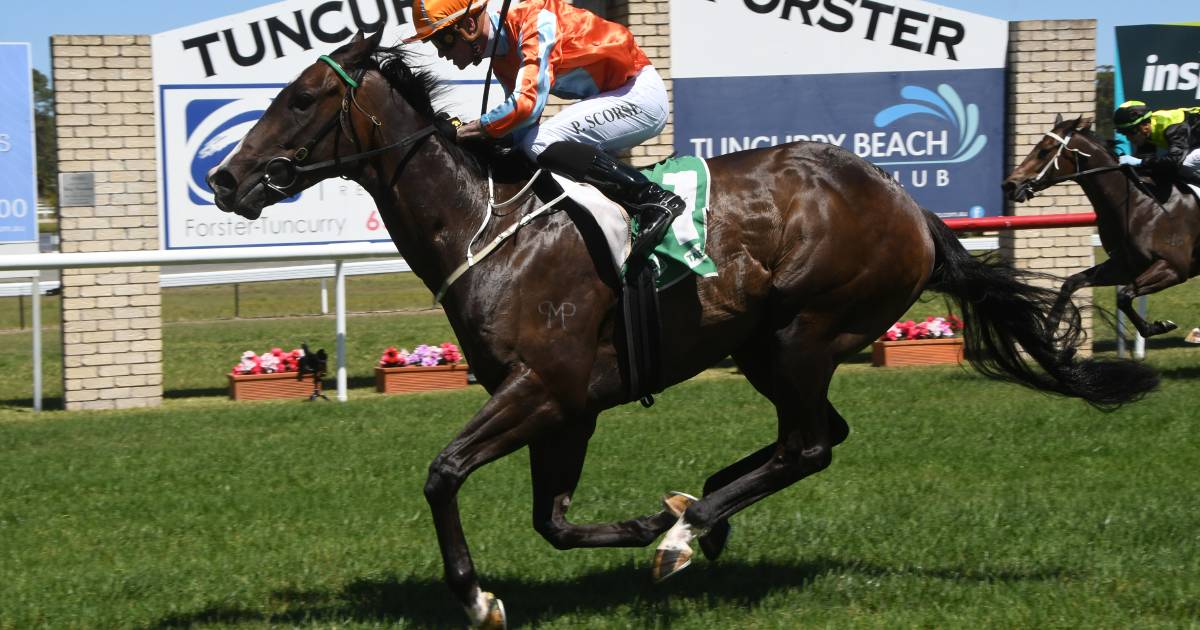 Tuncurry-Forster Jockey Club to host a hard earned Country Championship Qualifier in 2023 | The Land