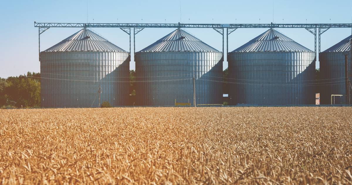 Queensland wheat exports climb in November | Queensland Country Life