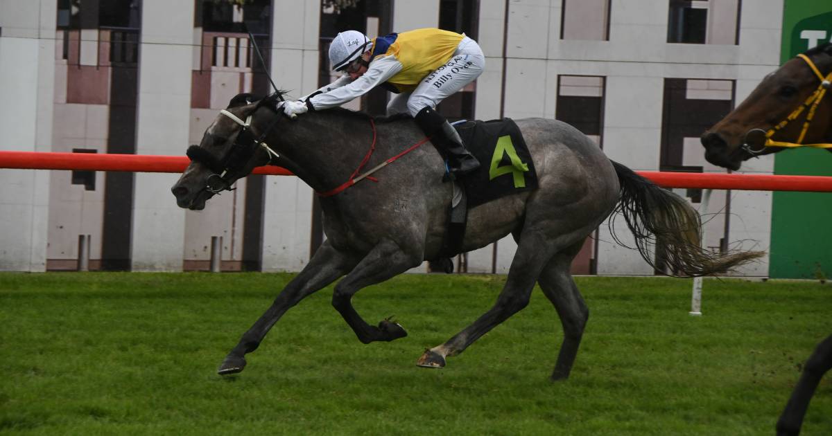 Canberra Racing Club introduces $400,000 Aquis Farm Canberra Speed Series | The Land