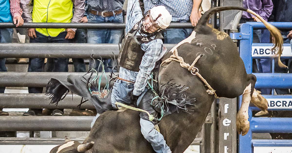 Action from round 1 of the ABCRA national junior finals