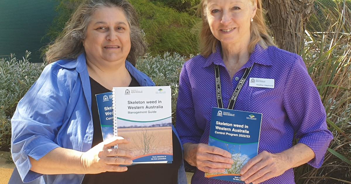 DPIRD releases new guide to tackle skeleton weed | Farm Weekly