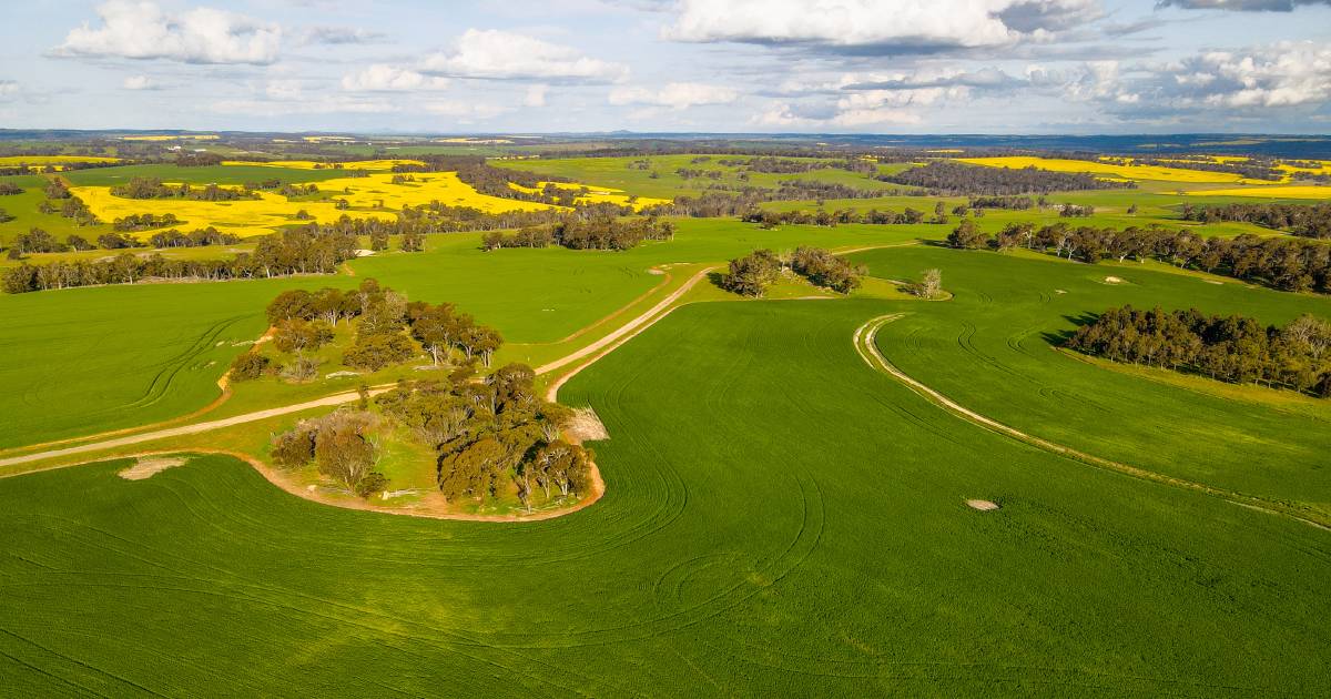 WA farm sells to Victorian family for $100 million