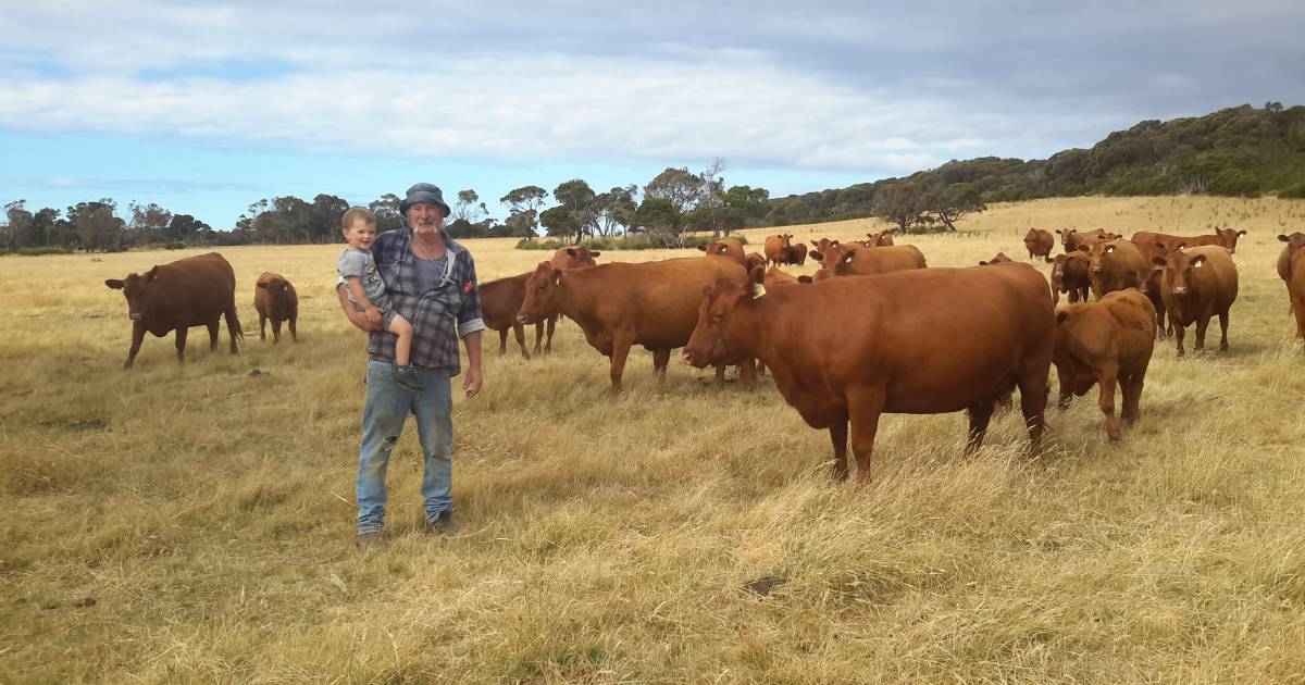 Juggling the sheep/cattle mix