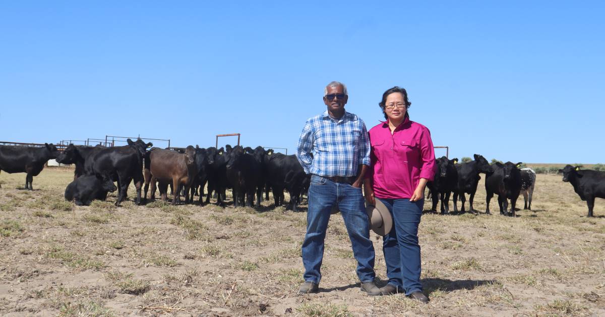 Holistic approach for Woodcote East near Geraldton | Farm Weekly