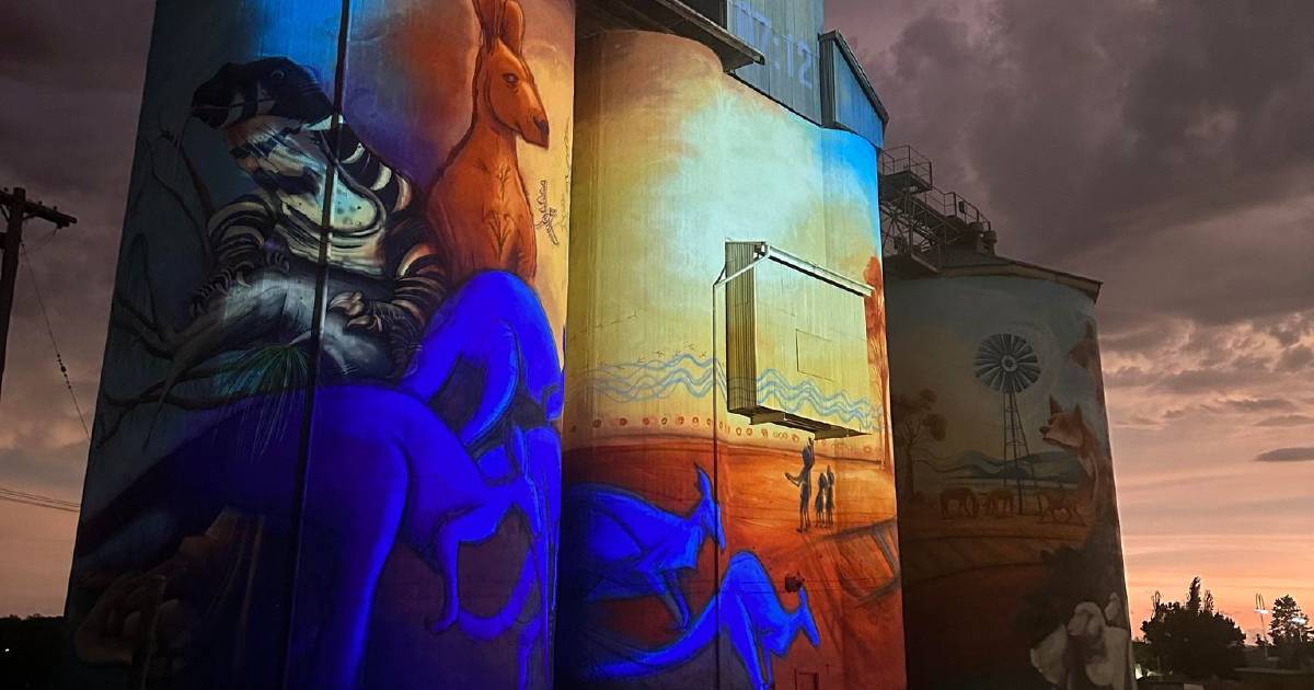 Quirindi Silo Art official opening shows light display on silos | The Land