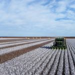 Mackay Sugar confident future mill investment will address key performance issues ahead of 2023 sugar cane season | Queensland Country Life