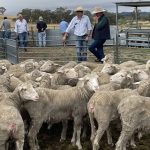 Major farming operation sold for $120 million