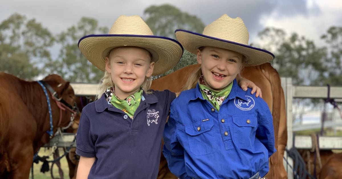 Young Droughtmaster duo prepare show team for 2023 season