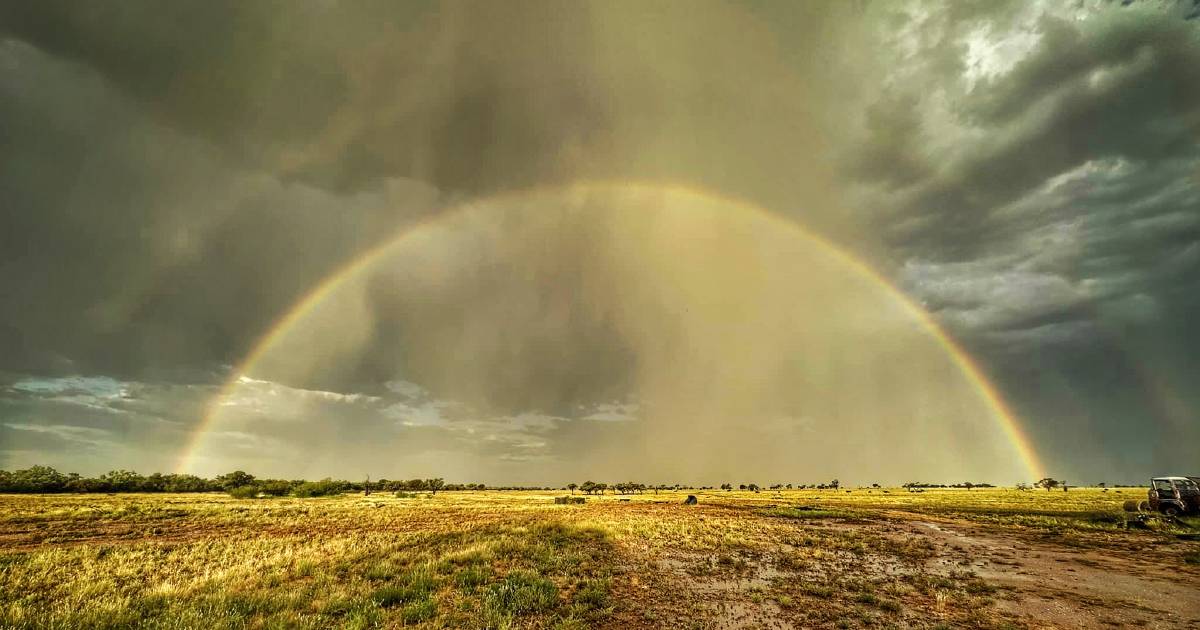 Rain totals for a wet year in Queensland | North Queensland Register