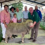 Stand out Wandoan cattle country heads to auction | Video