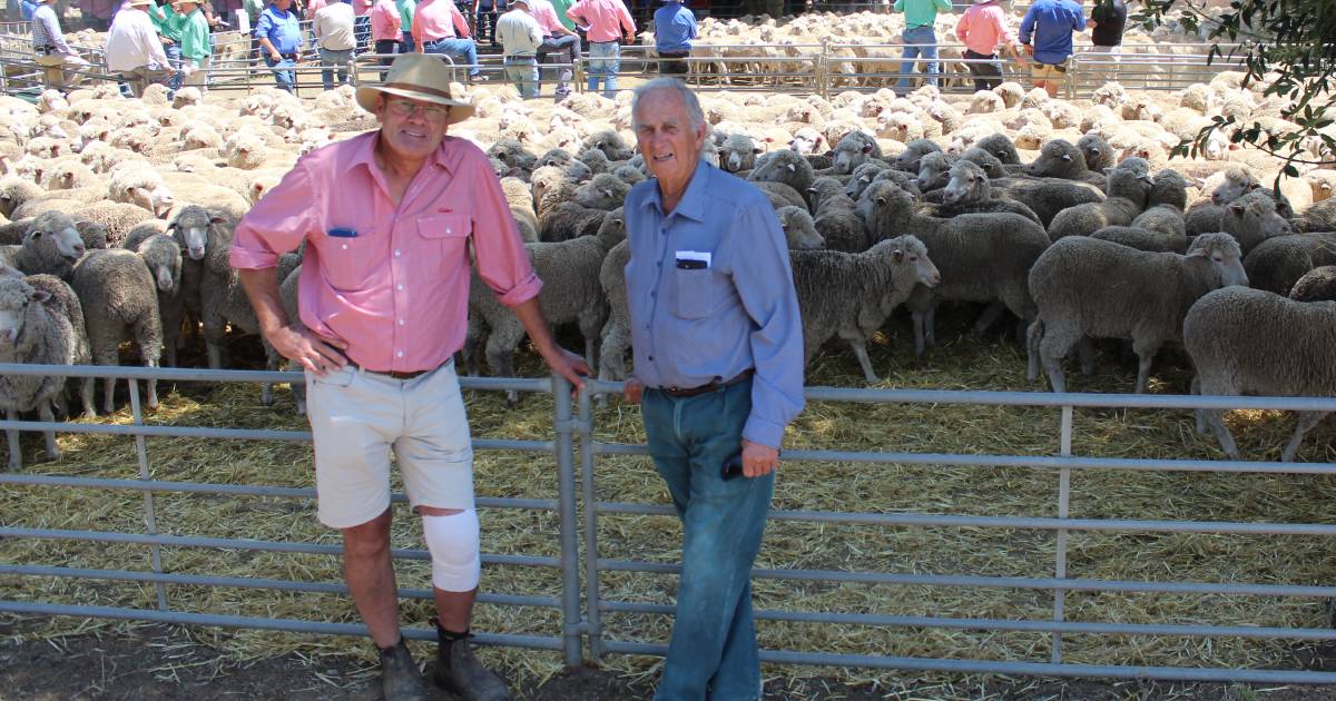 Wethers exceed expectations at annual Deniliquin store sheep sale | The Land