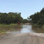 Livestock truck crash causing major headache for Riverina motorists