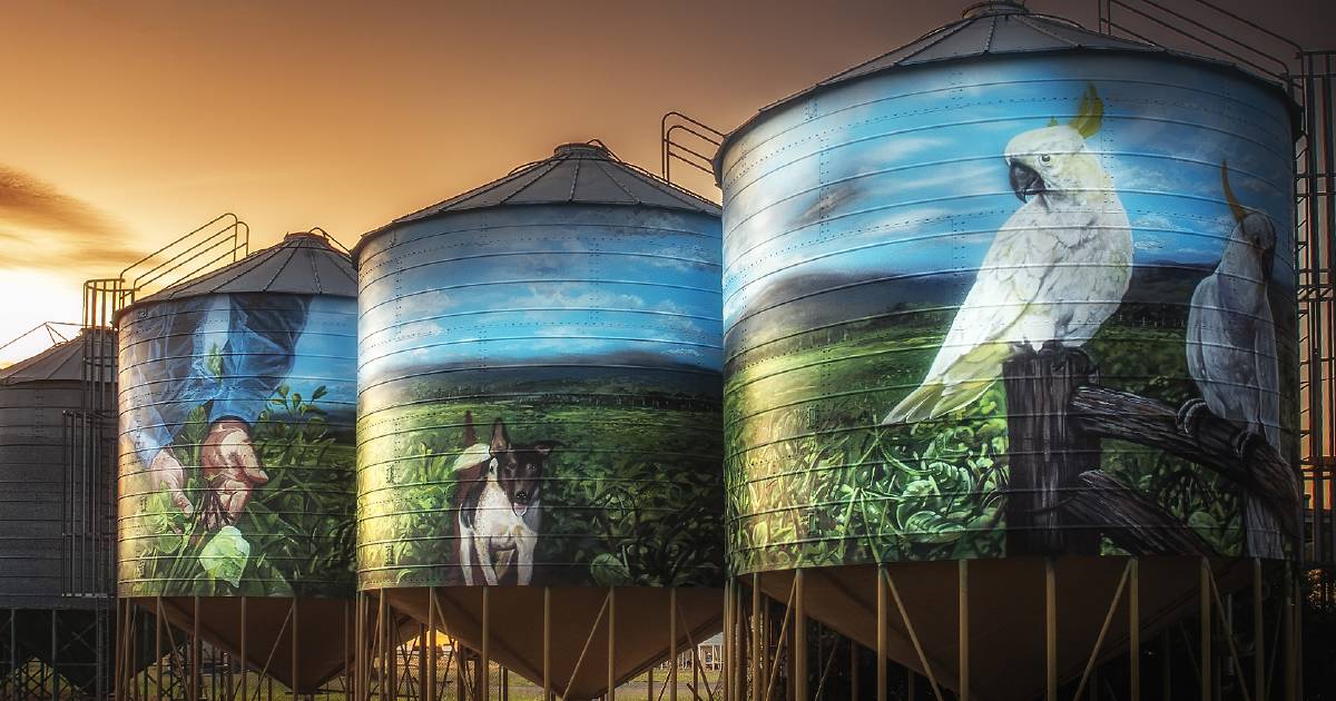 Biloela's newest mural pays homage to local mungbean industry